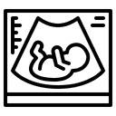 Obstetrics Icon